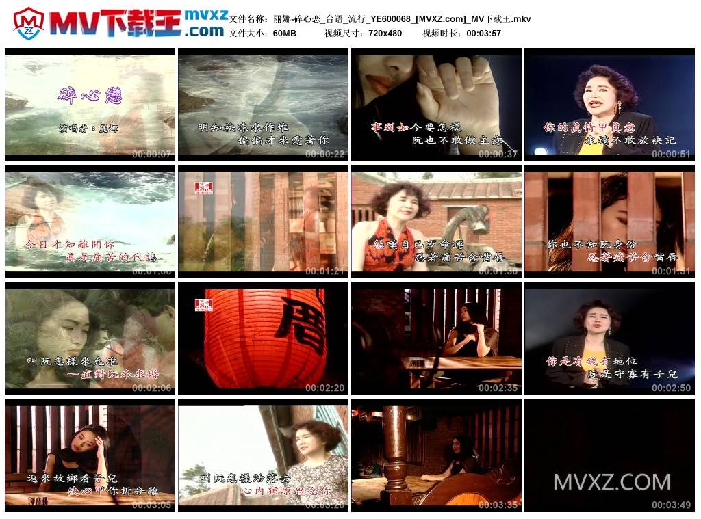 丽娜-碎心恋_台语_流行_YE600068